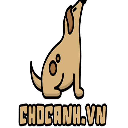 Blog Chó Cảnh