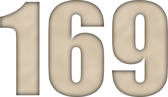 Число 169