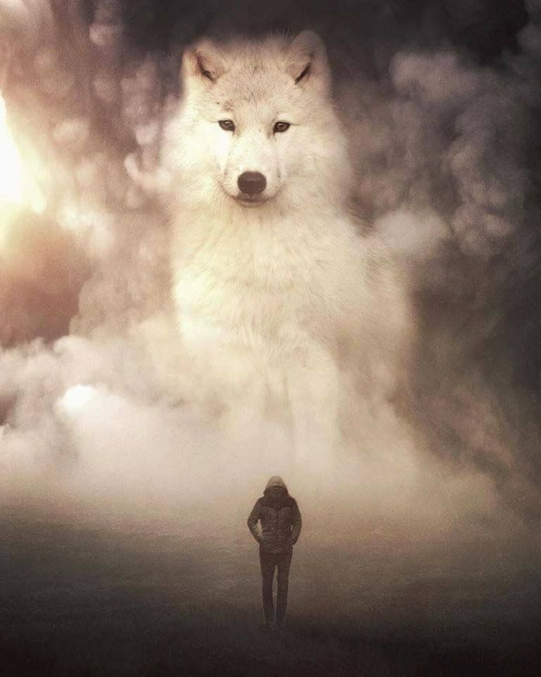 hình ảnh người đàn ông và sói