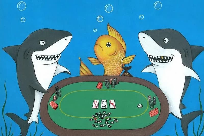 Cách nhận biết Cá trong Poker đơn giản nhất dành cho người mới - 789Club⭐️Cổng game chất lượng uy tín nhất 2024