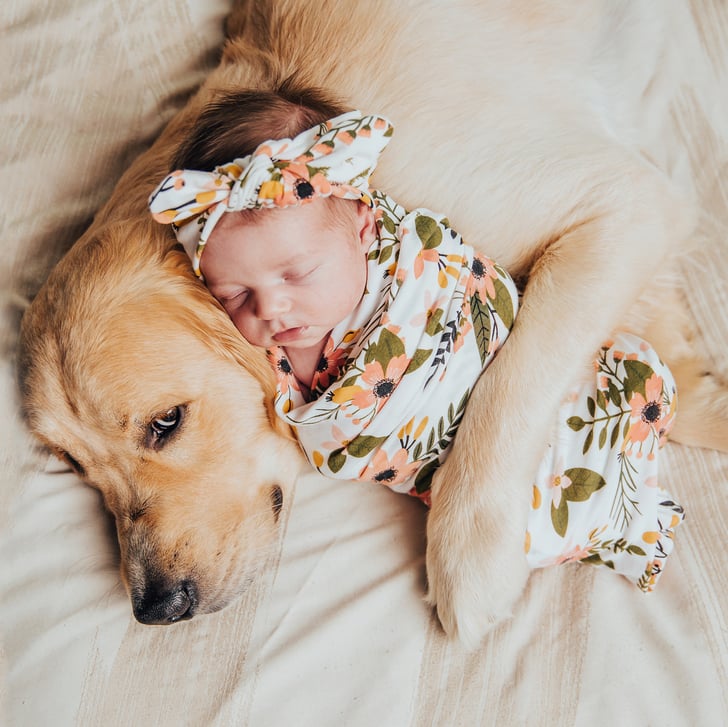 Hình ảnh cún con và em bé dễ thương