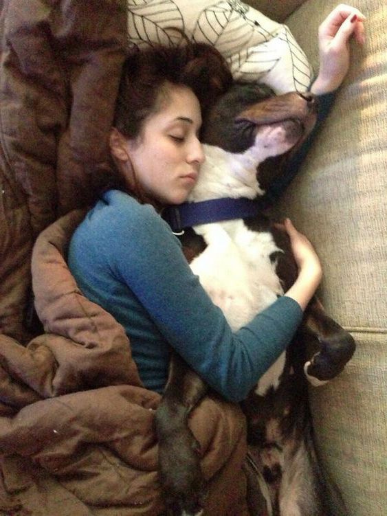 Lý do tại sao chó thích ngủ với người là gì?